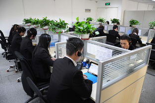 上海港茗投資管理 專業圖冊咨詢引領投資新視野